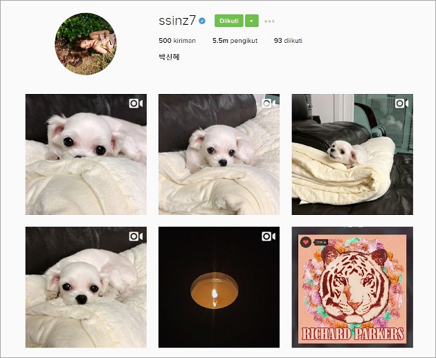 Park Shin Hye Hapus Postingan Coldplay