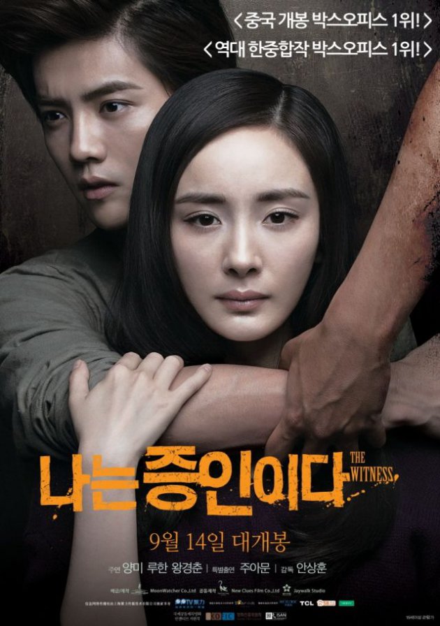 The Witness
