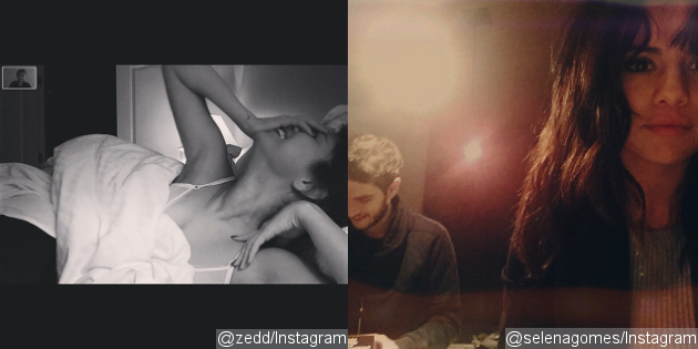 Zedd Porn