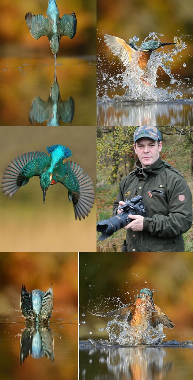 foto burung pekakak
