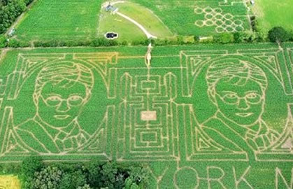 Petani New York Buat Labirin Raksasa Dari Tanaman Jagung Bergambar Wajah Daniel Radliffe