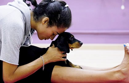 Yoga Untuk Anjing Membantu Menemukan Kedamaian Batin
