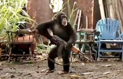Video: Kera Gunakan Senjata di Promo 'Rise of the Planet of the Apes'