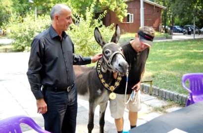 Parpol di Bulgaria Ajukan Seekor Keledai Sebagai Calon Walikota