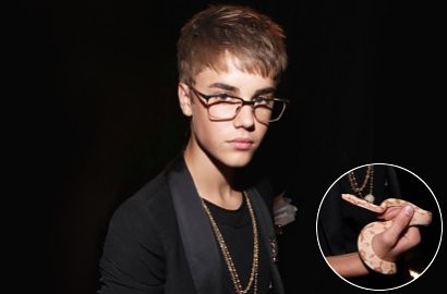 Justin Bieber Lelang Ular Boa Peliharaan Untuk Amal