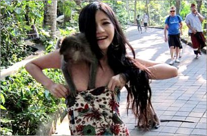 Monyet Nyaris Menelanjangi Model asal Taiwan Saat Berlibur di Bali