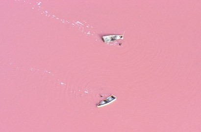 Air Danau di Afrika Berubah Warna Jadi Pink