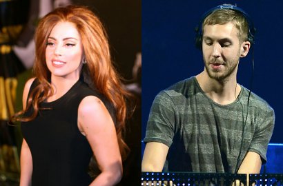 Lady GaGa Marah DJ Calvin Harris Mengaku Diajak Duet