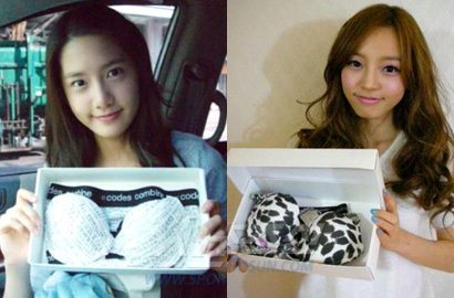 Foto SNSD dan Kara Pegang Pakaian Dalam Dibicarakan Netizen