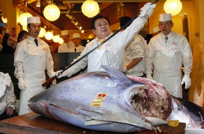 Seekor Ikan Tuna Cetak Rekor Laku Terjual Rp 17 Miliar