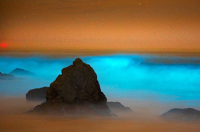 Fenomena Ombak Bercahaya Biru Ala Film Fiksi di Pantai California