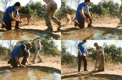 Adam Sandler Merasa Hampir Mati Diserang Cheetah di Afrika