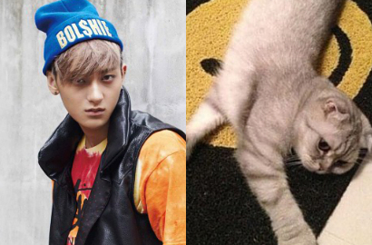 Tao EXO Bikin Heboh Pasang Foto Kucing Jia miss A