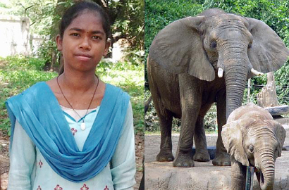 Nirmala, Si Gadis India yang Bisa Bicara dengan Gajah