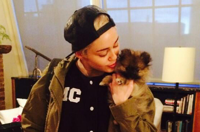 Masih Sedih, Miley Cyrus Berikan Anjing Baru ke Orang Lain
