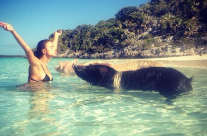 Irina Shayk Pamer Fotonya Renang Bareng Babi di Laut