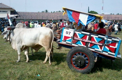 Lomba Gerobak Sapi Hingga Tanam Pohon untuk Rayakan Hari Kartini