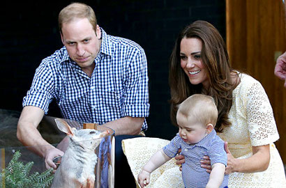 Lucunya Foto-Foto Pangeran George di Kebun Binatang Australia