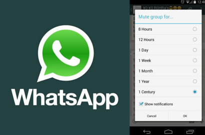 WhatsApp Kini Bisa 'Mute Group' di Android