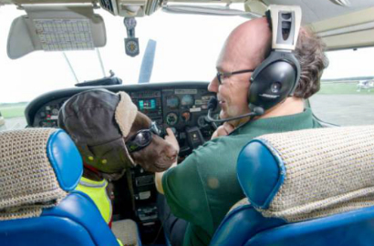 Callie, Anjing Labrador yang Punya Izin Pilot