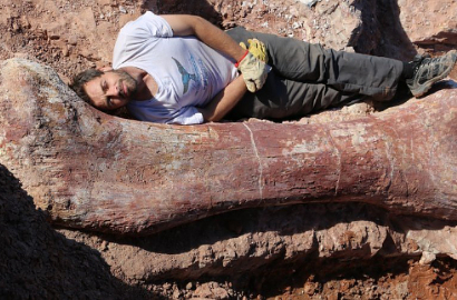 Penemuan Fosil Dinosaurus Terbesar Diperkirakan Seberat 77 Ton