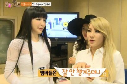 Member 2NE1 Cemburui Park Bom di 'Roommate'?