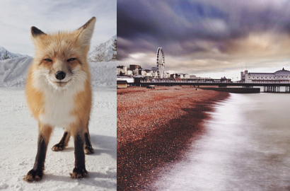 Inilah Foto-Foto Finalis iPhone Photography Awards 2014
