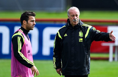 Vicente del Bosque Bantah Dirinya Bersitegang dengan Cesc Fabregas