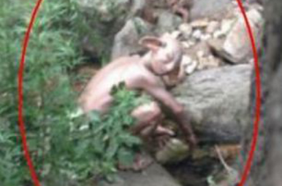 Turis Syok Pergoki Makhluk Mirip Gollum 'LOTR' Saat Kemah