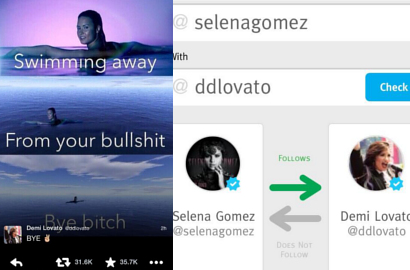 Demi Lovato Unfollow Selena Gomez Via Twitter?