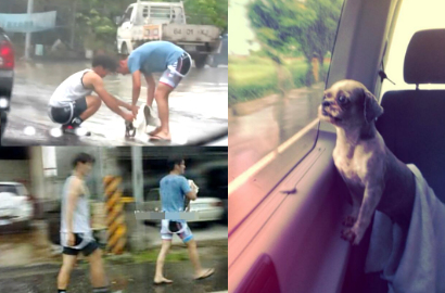 Siwon Selamatkan Anjing Tersesat di Tengah Syuting 'To the Fore'