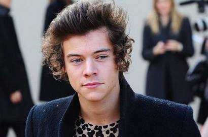 Harry Styles Siapkan Debut Solo dan Buat Perusahaan Sendiri?