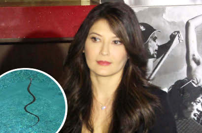 Tamara Bleszynski Panik Setelah Ular Masuk Rumah