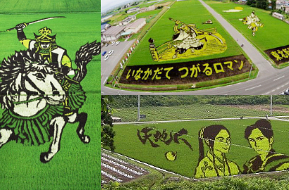Kerennya Sawah di Jepang Jadi Kanvas 'Lukisan' Gunakan Padi