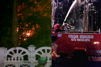 Beringin Kembar Jogja Terbakar Jadi Pembicaraan