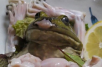 Kodok Hidup Disajikan di Mangkuk Sashimi