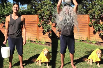 Lucunya Daniel Henney 'Ice Bucket' Bareng Anjing Peliharaan