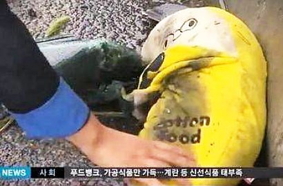 Netter Nangis Lihat Boneka Kesayangan EunB Ladies' Code di TKP