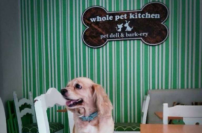 Di Kafe Ini Anjing dan Tuannya Boleh Makan Semeja