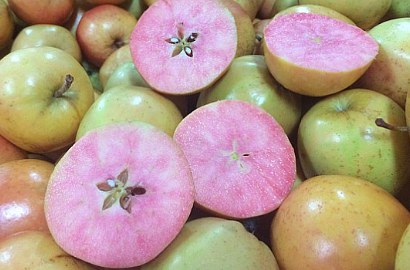 Uniknya Apel di Inggris Miliki Daging Warna Pink