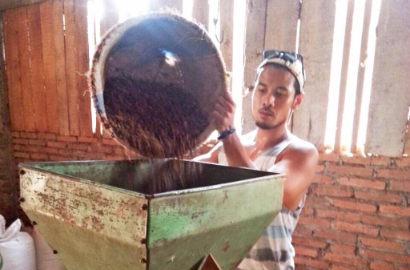 Chico Jericho Jadi Petani Kopi di 'Filosofi Kopi'