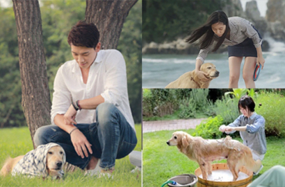 Benji, Anjing Imut di 'My Lovely Girl' yang Curi Perhatian Penonton
