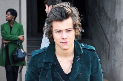 Harry Styles Bantu Fans Melamar Pacarnya di Konser One Direction