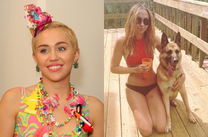 Miley Cyrus Dituntut Gara-Gara Anjing Saudari Tiri