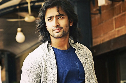 Shaheer Sheikh Sudah Bisa Bahasa Indonesia?