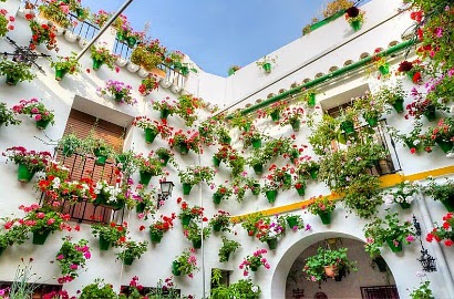 Festival 'Perang Bunga' Percantik Musim Semi di Cordoba