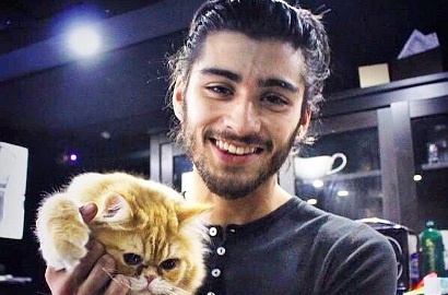 Zayn Malik One Direction Akui Belum Rencanakan Pernikahan