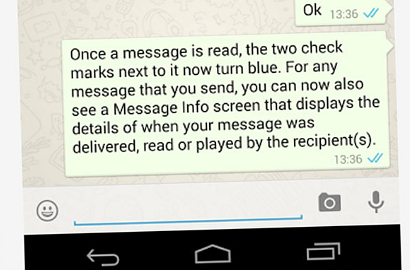 Centang Biru Bikin Ketahuan yang Pura-Pura Tak Baca Pesan WhatsApp