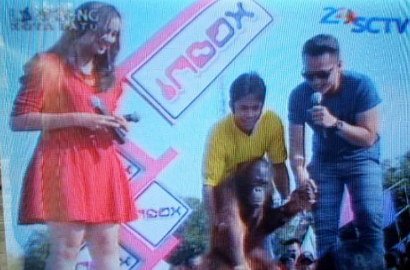 Ajak Orangutan Joget, 'Inbox' Diprotes Perlindungan Satwa