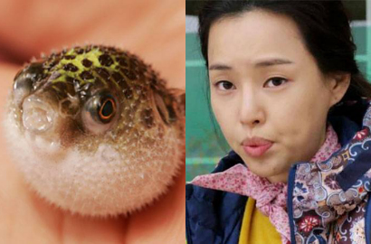 Honey Lee Santai Olok Diri Sendiri 'Ikan Buntal' di 'Modern Farmer'